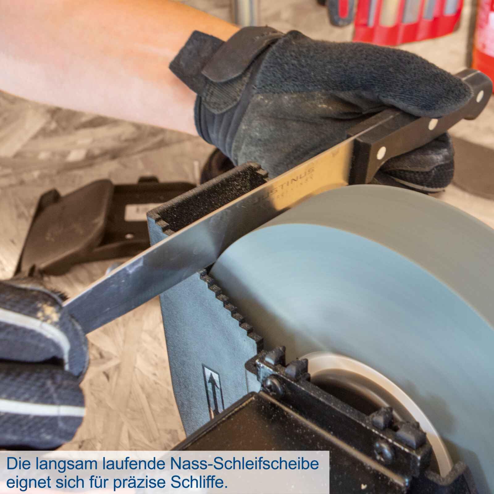 Scheppach - 5903105903 - BG200W Esmeriladora en seco y húmedo (250W, 1 pieza, color azul; Plata; negro)