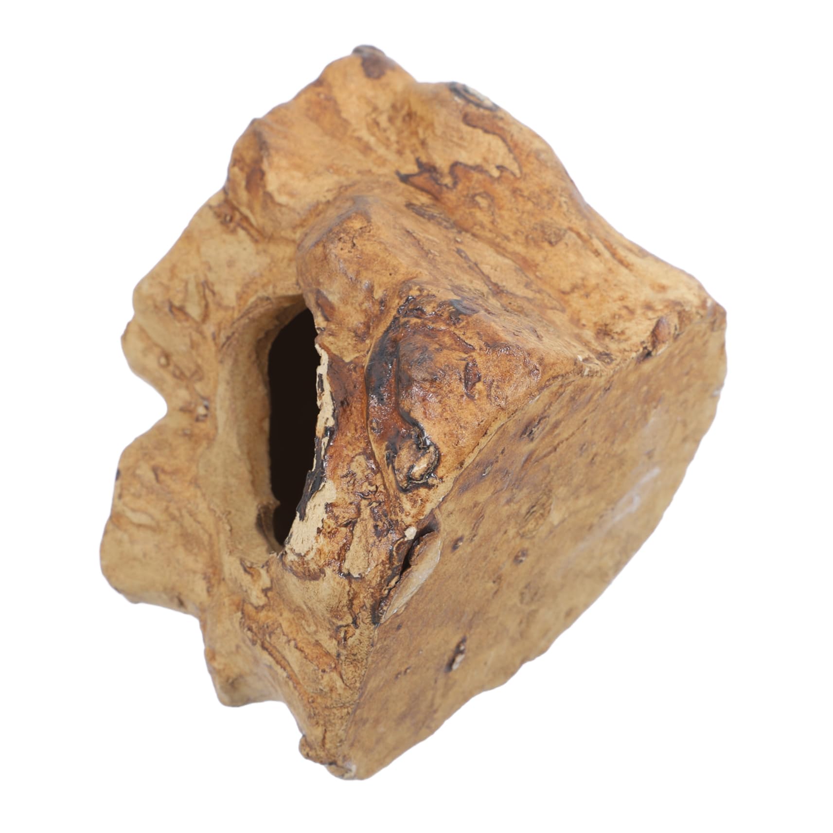 Abaodam Fish Tank Caves and Hides Compact Reptile Hideout with Multiple Entry Points Design for Betta Fish and Shrimp Enhances Aquarium Decor and Interaction