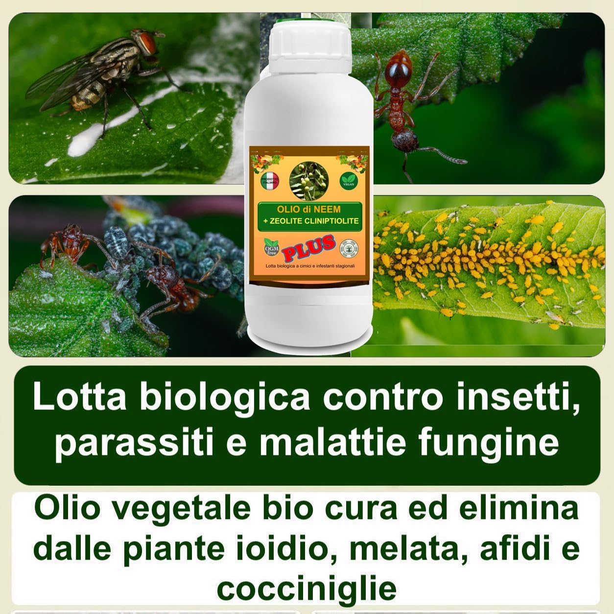GSW© Olio di NEEM PLUS Potenziato con Zeolite e Chabasite Biologico Olio di Neem Solubile Ottimo su Orto e Giardino, 100% Naturale No OGM Atossico per Piante, Animali, Persone, Ambiente (1 Litro PLUS)