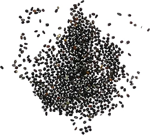 Miniatura 6 de Seed Needs Semillas de menta para plantar un jardín de hierbas para interiores y exteriores, reliquia sin OMG y plantas herbales no tratadas, ideal