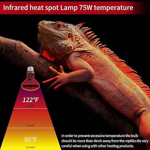 Miniatura 5 de REPTI HOME Paquete de 3 bombillas infrarrojas de calor para reptiles, 75 W, para reptiles y anfibios, bombilla infrarroja emisora de calor para