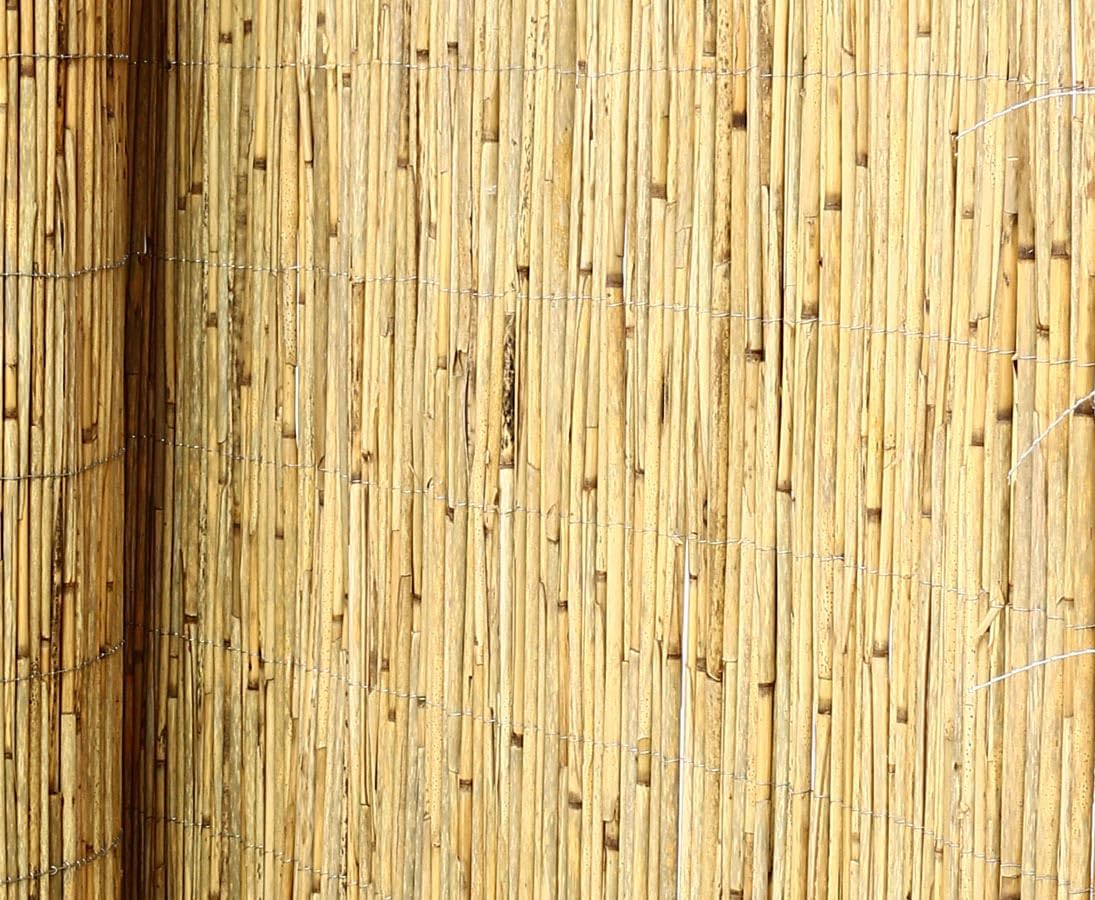 Schilfrohrmatte 120x300cm "Beach" als Sichtschutz fr Garten und Terrasse  von bambus-discount.com : Amazon.de: Garten