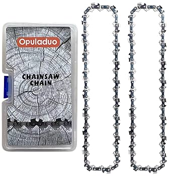 Bubblegum Chainsaw / 3枚セット Amazon.com: 310982003 New Bar & Chain Combo For Ryobi P4360