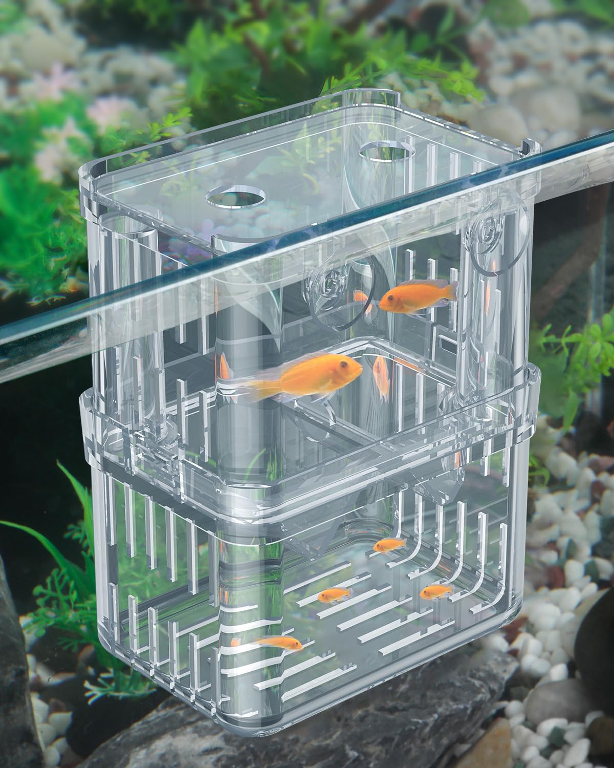Pawfly Aquarium Breeding Box - Transparent Plastic Breeder Box for Fish Tank, Fry Hatchery Incubator for Baby Fish, Shrimp, Betta, Clownfish, Guppy,