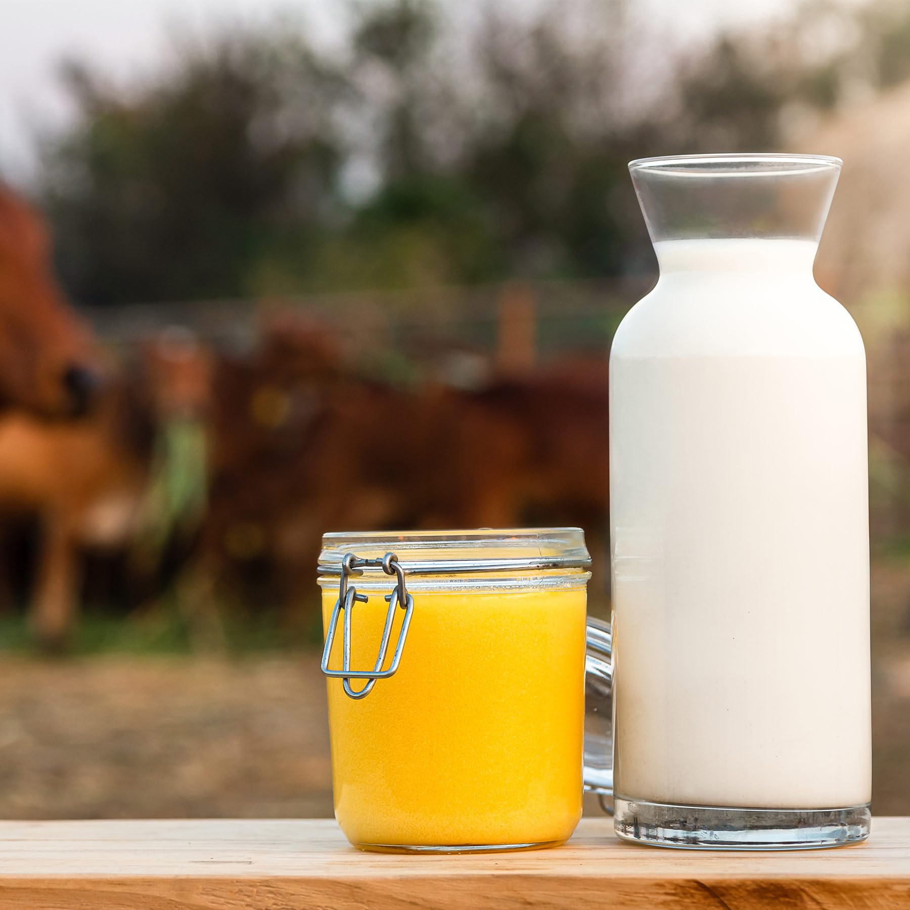 Two Brothers Organic Farms A2 Ghee (500 ml) |Free-grazed, Grass-fed Desi Gir Cows | Traditional Bilona Method | Pure, Natural and Healthy Ghee | Farm-Made A2 Cow Ghee with Probiotics for Gut Health - Image 6 thumbnail