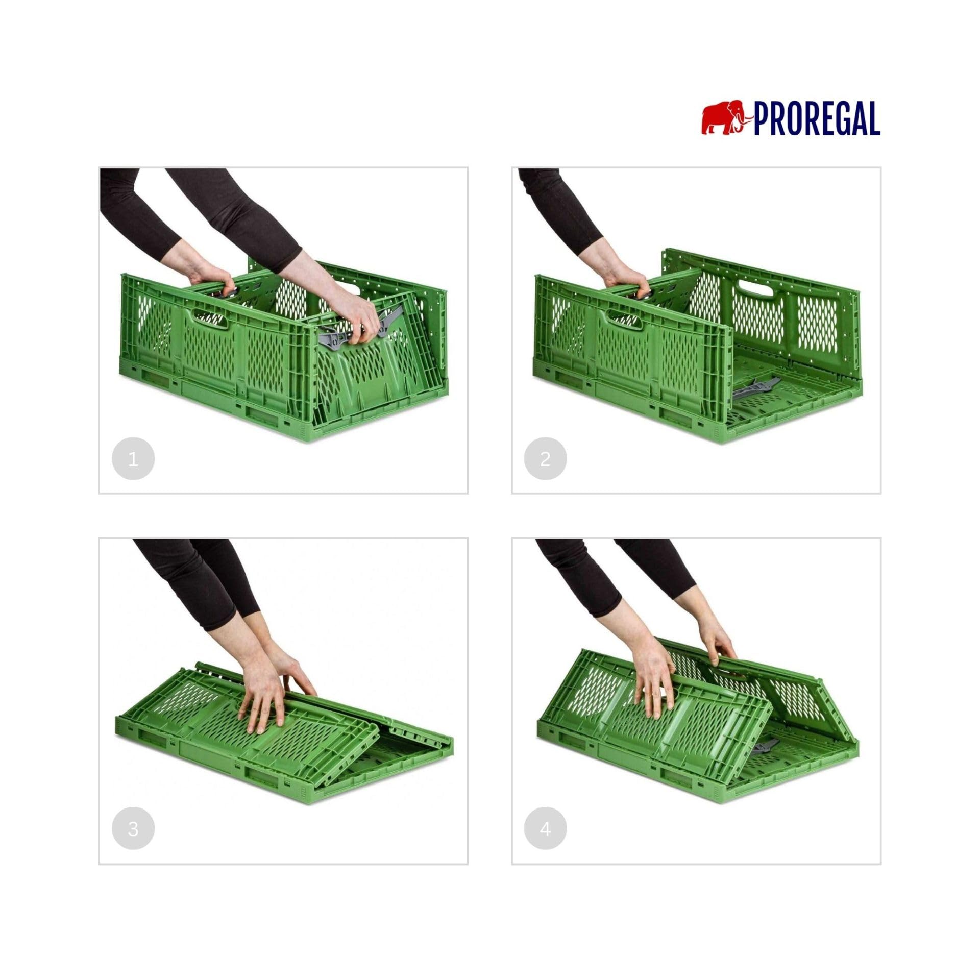 PROREGAL SuperSparSet 5x Stabile Profi-Klappbox Chameleon in Industriequalität | HxBxT 18x30x40cm | 17L | klappbar stapelbar durchbrochen lebensmittelecht | Eurobox Eurobehälter Transportbehälter
