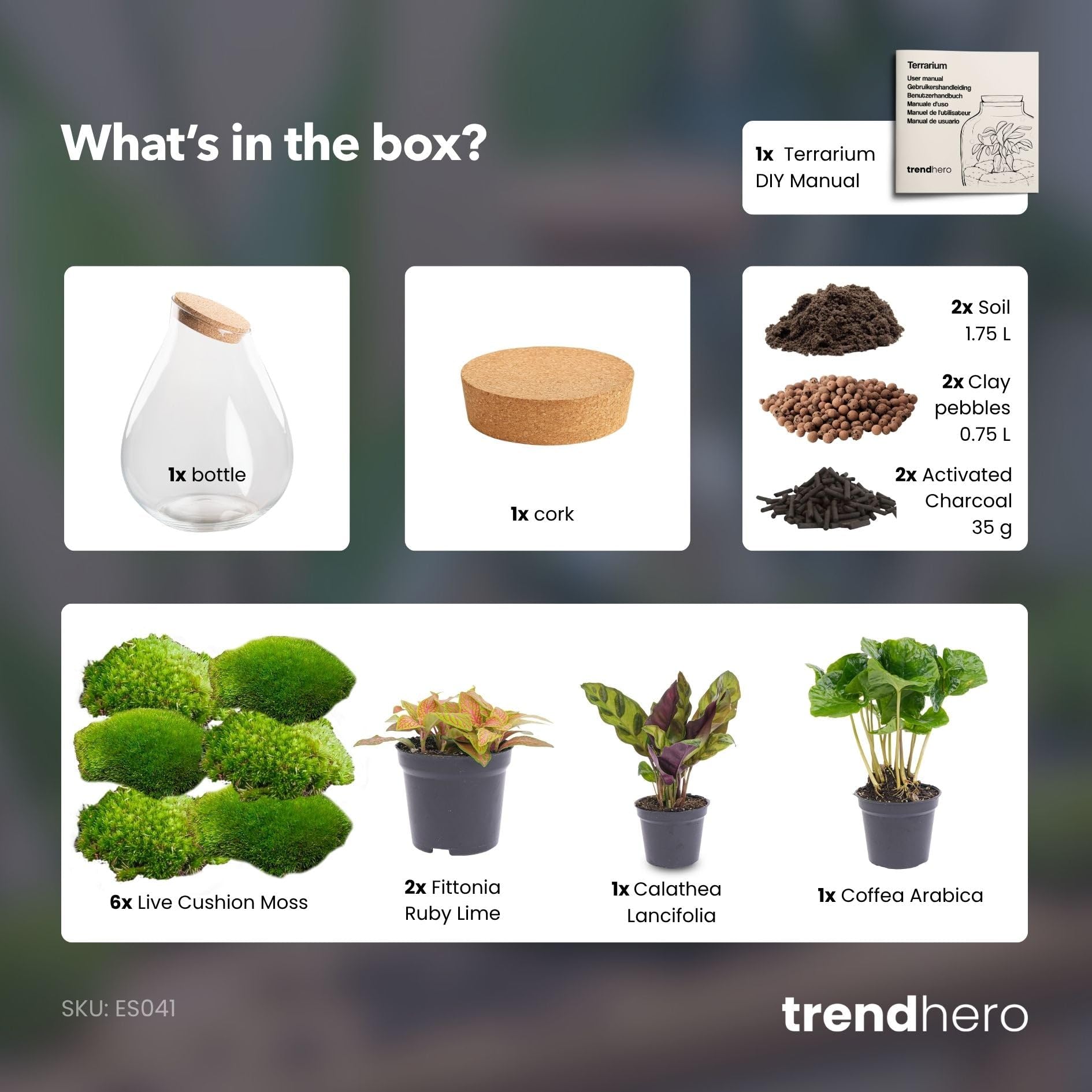 urbanjngl - Drop XXL Rotes Pflanzen Terrarium mit Kork - DIY Kit für EIN nachhaltiges Ecosystem - Ø 34 cm, Höhe 43 cm