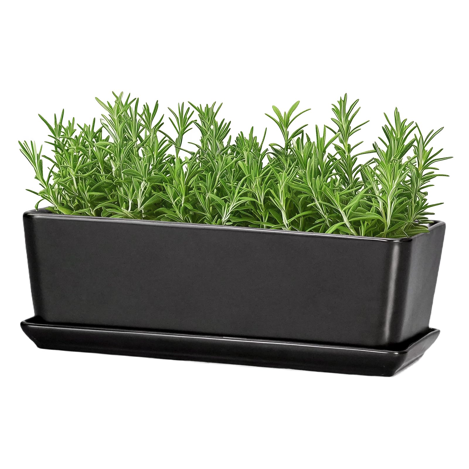 SQOWL Rectangle Planter