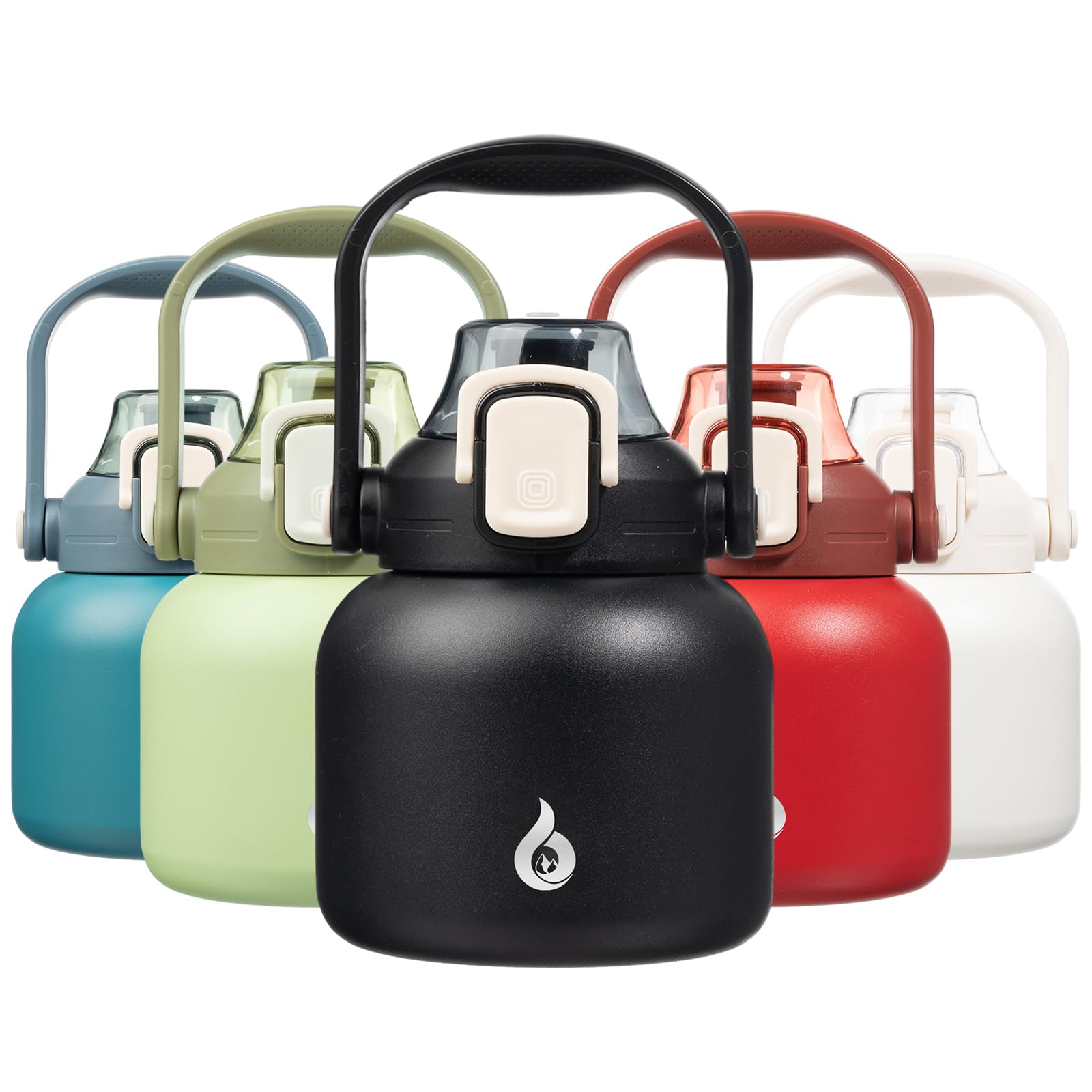 BJPKPK Insulated Water Bottles with Straw, 20 oz Cute Water Bottles with Handle, BPA Free Stainless Steel Metal Jug, Easy Carry Flasks for Men & Women