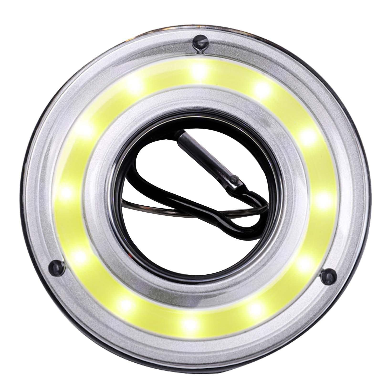 backlight Golf à Disque - Tasses Lumineuses Golf,Mettre des Drapeaux et des poteaux Verts Mettre des Tasses Lumineuses dans Un Trou Golf Vert Qui Brillent dans Le Noir pour Jouer au