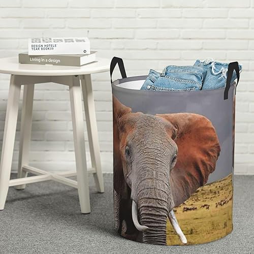 Miniatura 8 de Elefante impreso cesta de lavandería con asa cesta de lavandería impermeable circular cesta organizador para cuarto de baño dormitorio dormitorio