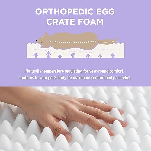 Miniatura 10 de Lesure Camas para gatos de interior  Cama redonda para gatos en forma de dona para perros pequeños, camas calmantes para mascotas, lindas camas