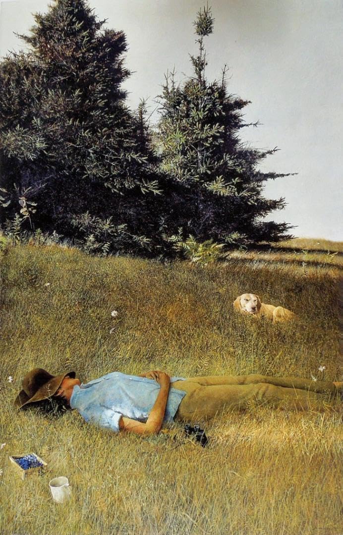 Amazon.co.jp: アンドリューワイエス 遠雷 限定 andrew wyeth 写実主義