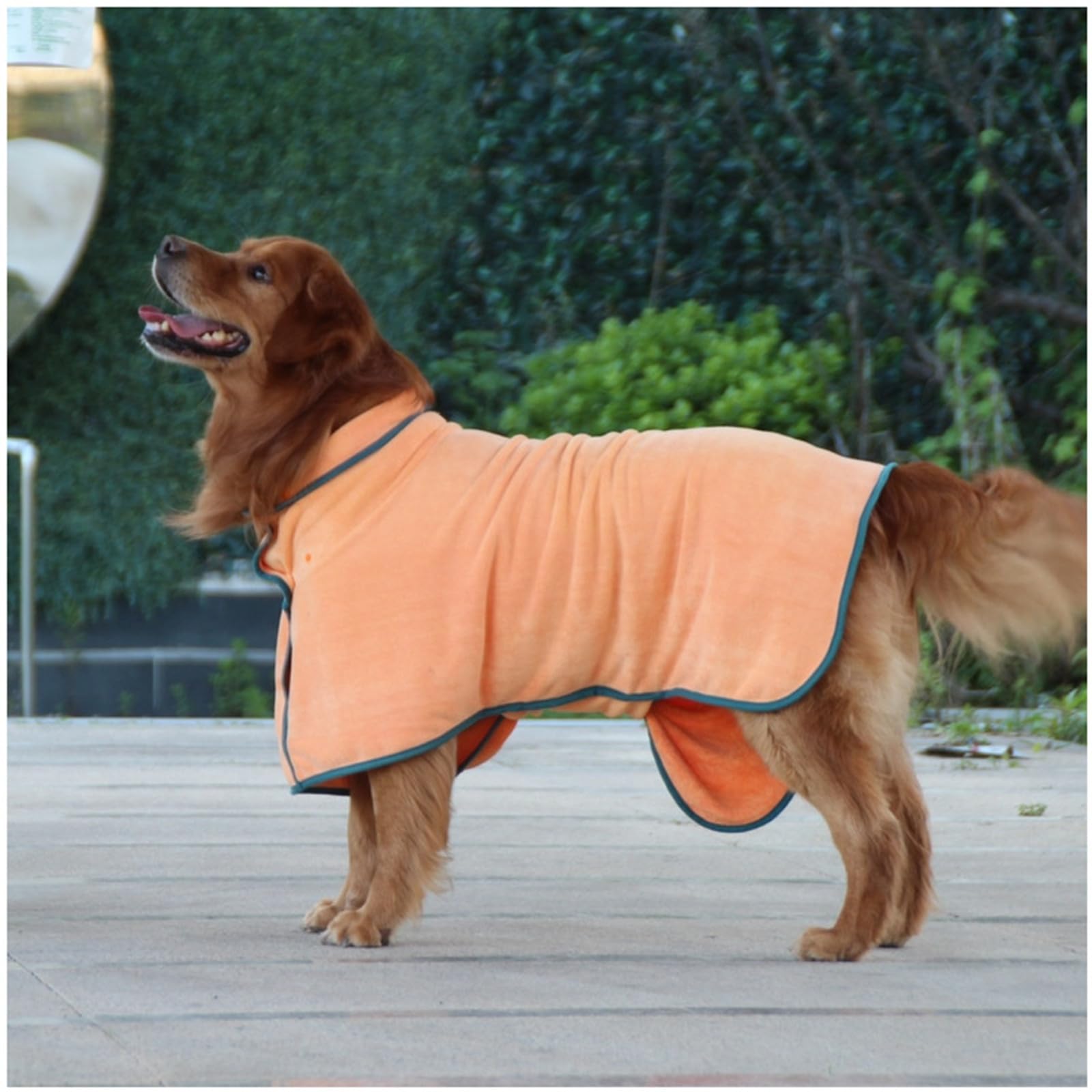 Pain De Bain pour Chien Mabet De Séchage De Chien Super Absorbant Microfibre Baignoire Chien Serviette Douce Enveloppe Douce À Séchage Rapide.