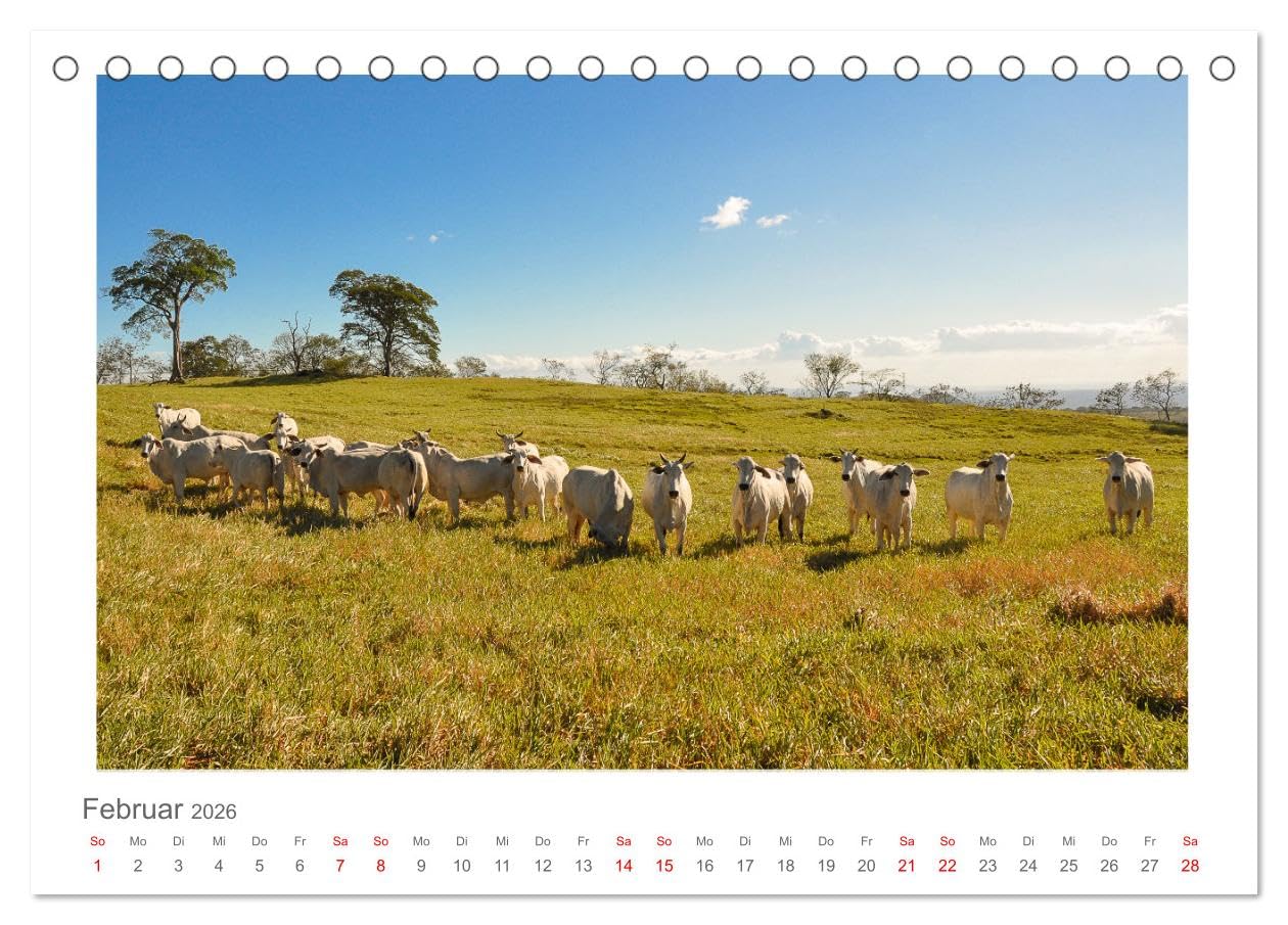 Costa Rica - unterwegs mit Julia Hahn (Tischkalender 2026 DIN A5 quer), CALVENDO Monatskalender: Costa Rica zeichnet sich durch seine artenreiche ... seine abwechslungsreiche Landschaft aus.