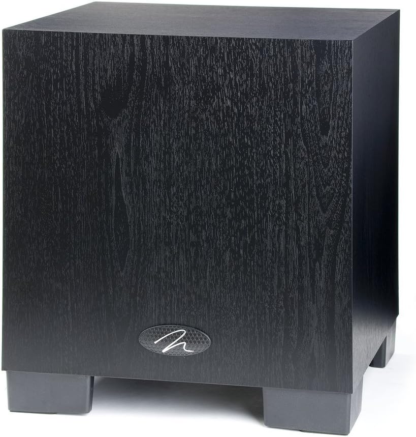 MartinLogan Dynamo 300 Home Theater and Stereo Subwoofer [Discontinued by Manufacturer]