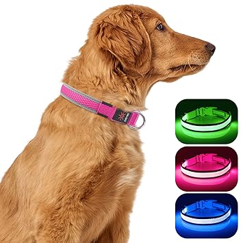 Illumifun LED Dog Collar, USB Rechargeable Mesh Webbing Glowing Pet Safety Collar, Adjustable Light Up Collars for Your Dogs Walking at Night (Small, Pink)