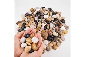Ornamental Polished Small River Rocks for Indoor Plants