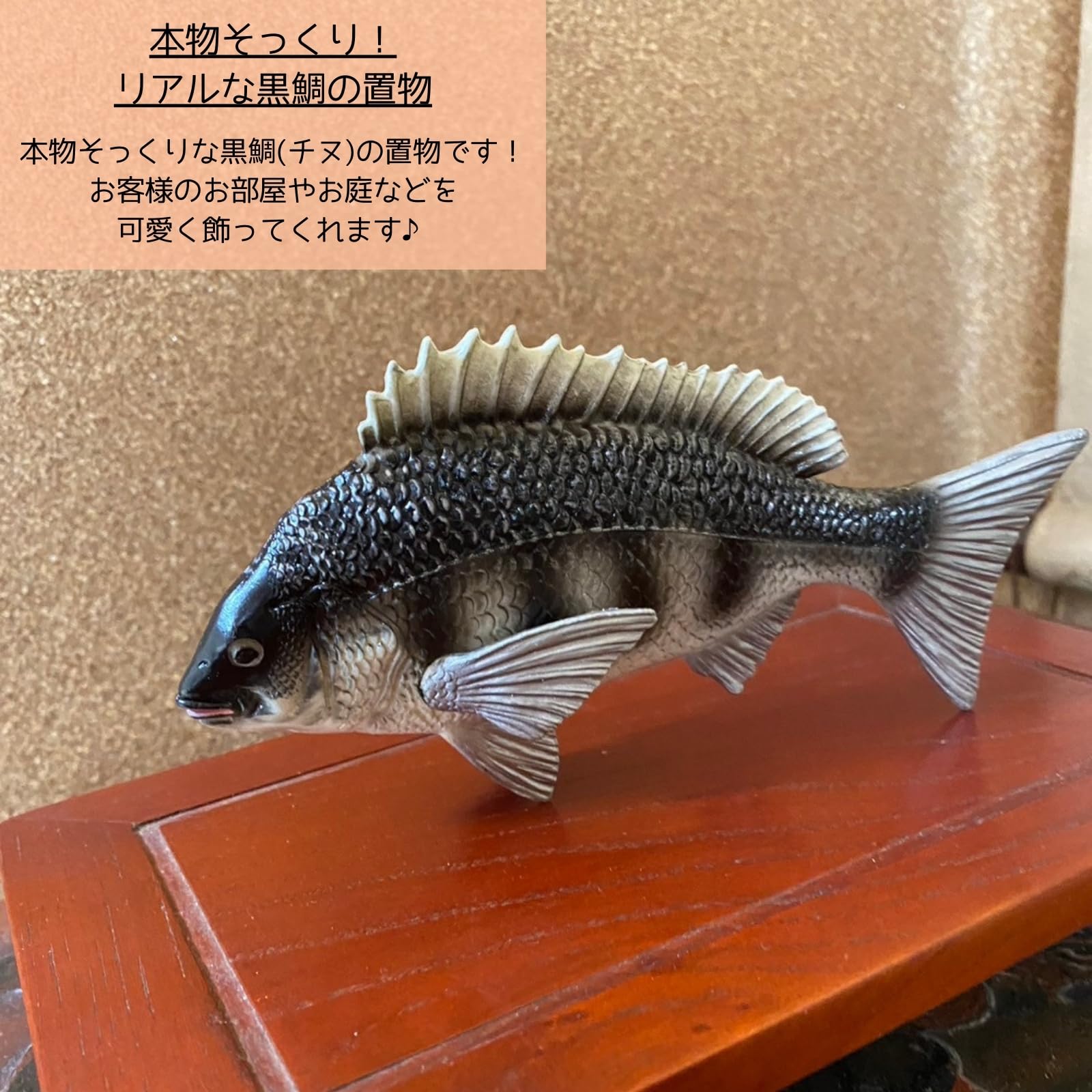 Amazon.co.jp: [S.T.S.G] 鯛 チヌ 魚 クロダイ 黒鯛 置物 置き物