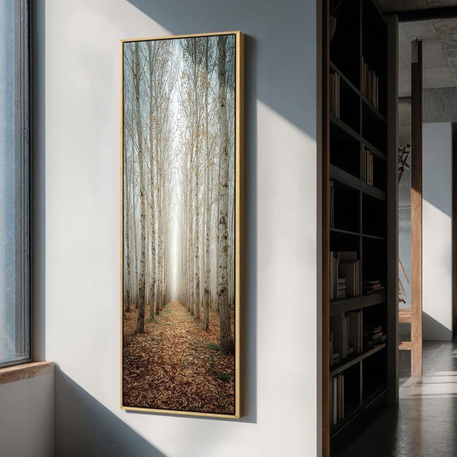XINBAO Vertical Canvas Painting, Tall Birch Tree Art Work,Framed Artwork, Abstract Nature Decor, Horizontal Bed Canvas Wall Art(40x120cm/Frameless)
