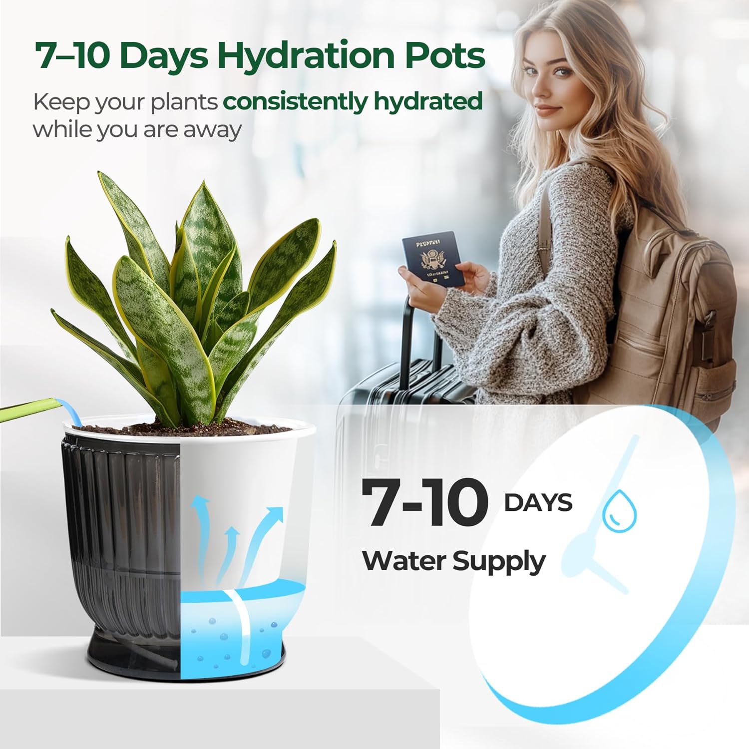 T4U 6 Inch Self Watering Pots for Indoor Plants, 4 Pack Self Watering Planter, Self Watering Pot with Reservoir, Small Self Watering Pots for Plants, African Violets (4 Pack, 6", Translucent Gray) - Image 5