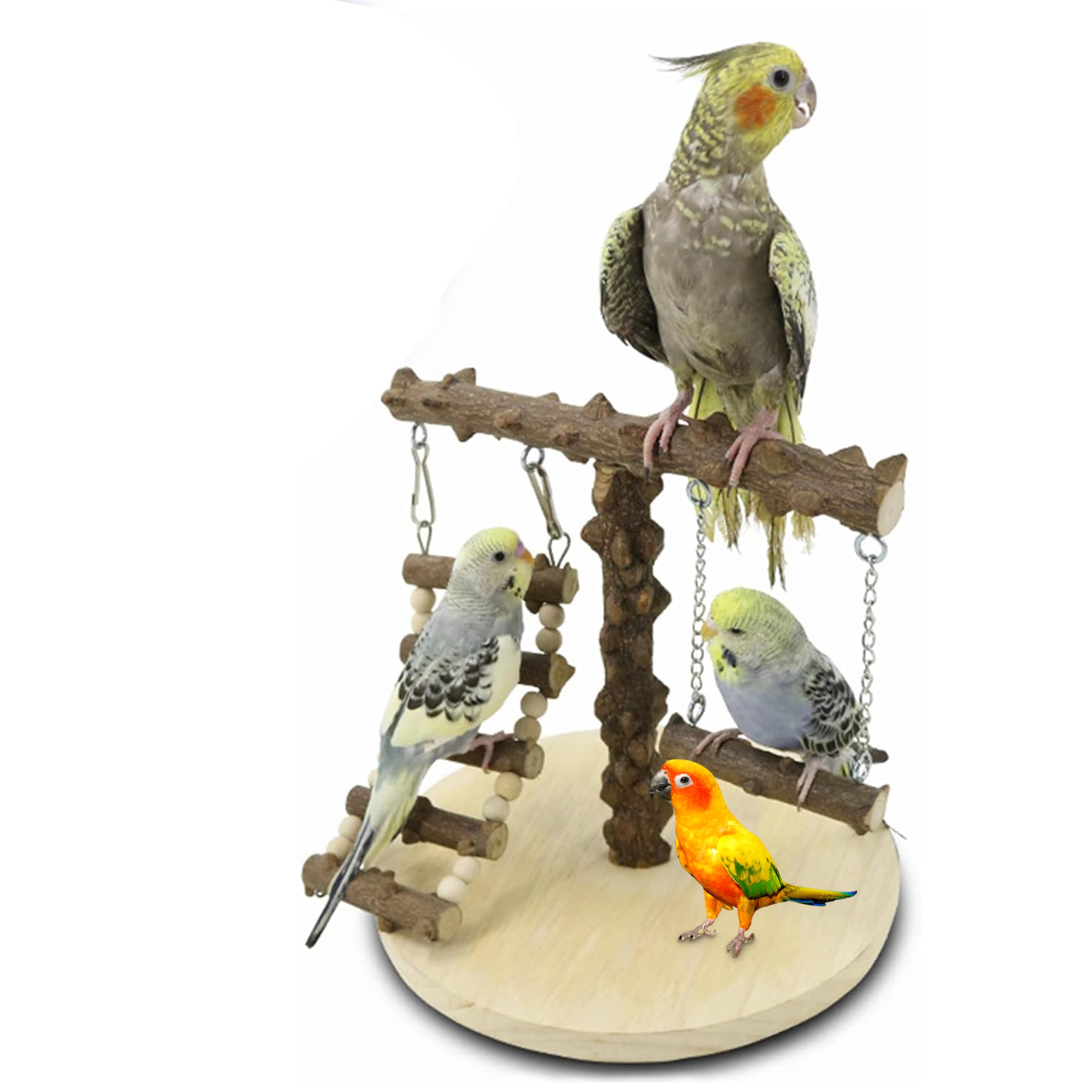 Guijinhao Bird Playground Simple Parrot Play Stand with Swing and Climb Ladder Small Budgie Playground Cage Exercise Gym Toys for Parakeets Cockatiel Cage Accessories(C70-11)