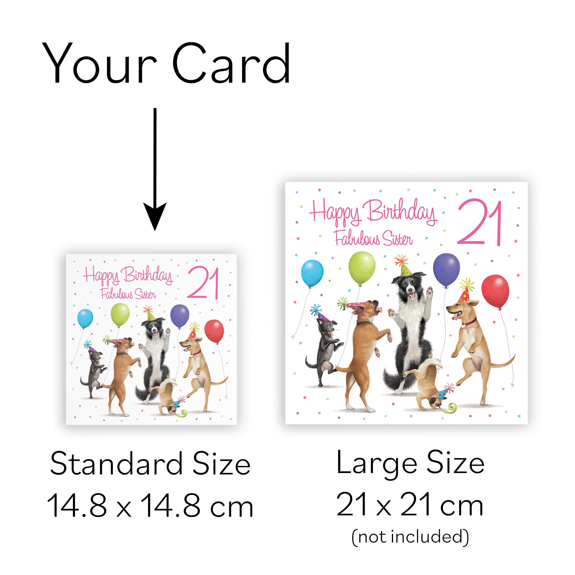 Hunts England 21st Sister Birthday Card - Dancing Dogs - Fabulous Sister - Age 21 - Women's 21st Birthday Card - Milo's Gallery - Funny — view 7