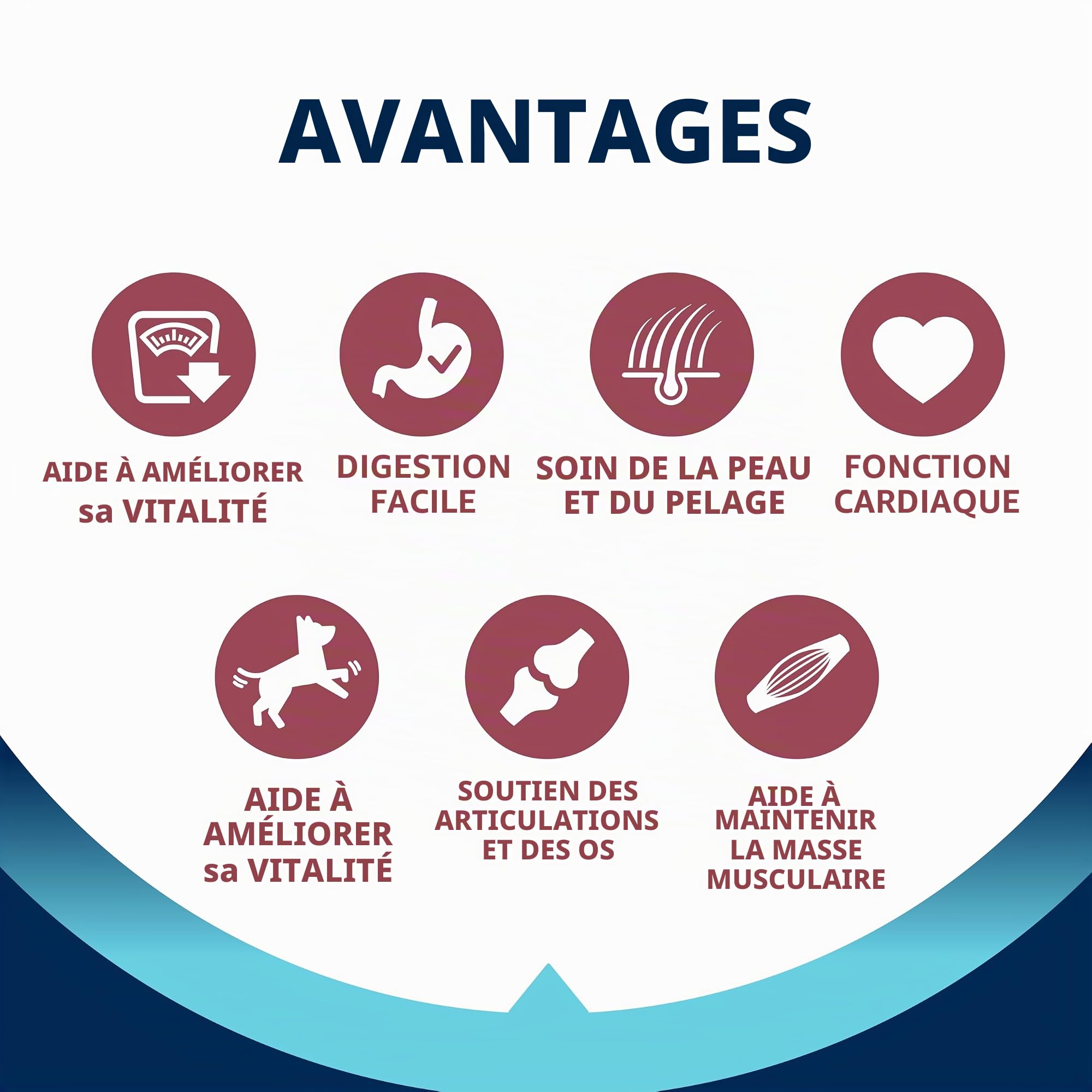 Advance Vitality Senior Maxi - Croquettes pour Chiens Senior (+6 Ans) de Grande Race avec du Poulet - 12kg