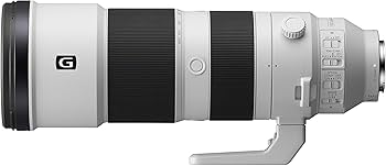 Amazon.com : Sony FE 200-600mm F5.6-6.3 G OSS Super Telephoto Zoom