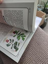 The House Plant Expert Book By D.G. Hessayon - Paperback, Very Good Condition