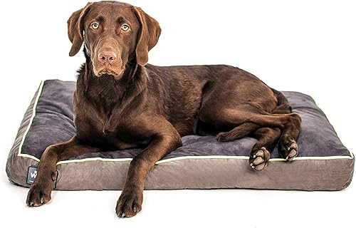 Miniatura 7 de Better World Pets Cama ortopédica para perros de 5 pulgadas de grosor, espuma viscoelástica triturada pura de primera calidad, ideal para perros
