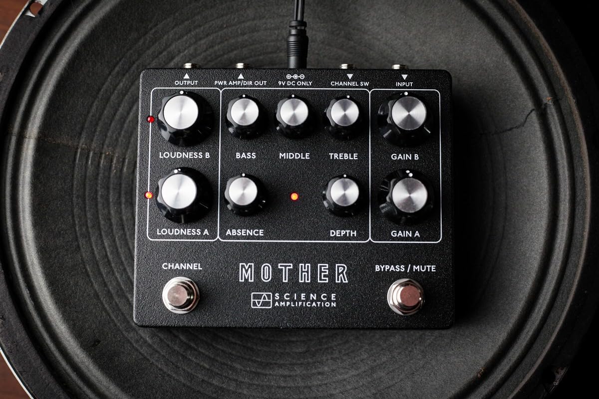 【中古特価！】mother preamp Science Amplification Mother Preamp【Motherアンプヘッドを