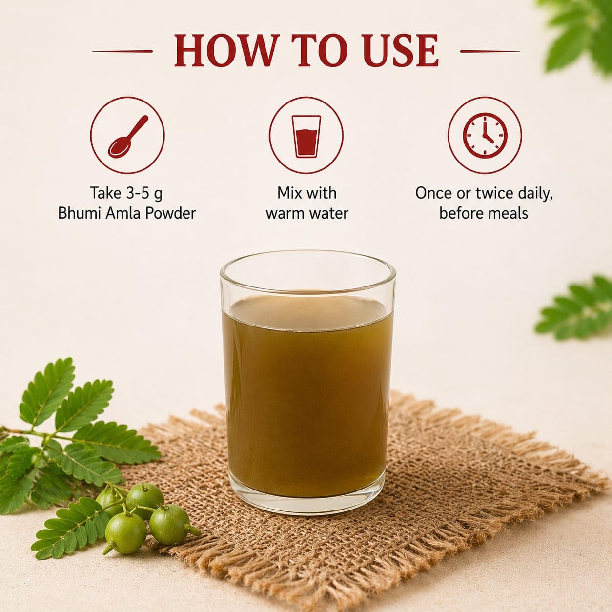 Bhumi Amla Powder, Phyllanthus niruri, 100% Natural, 100 g — Amazon image 3