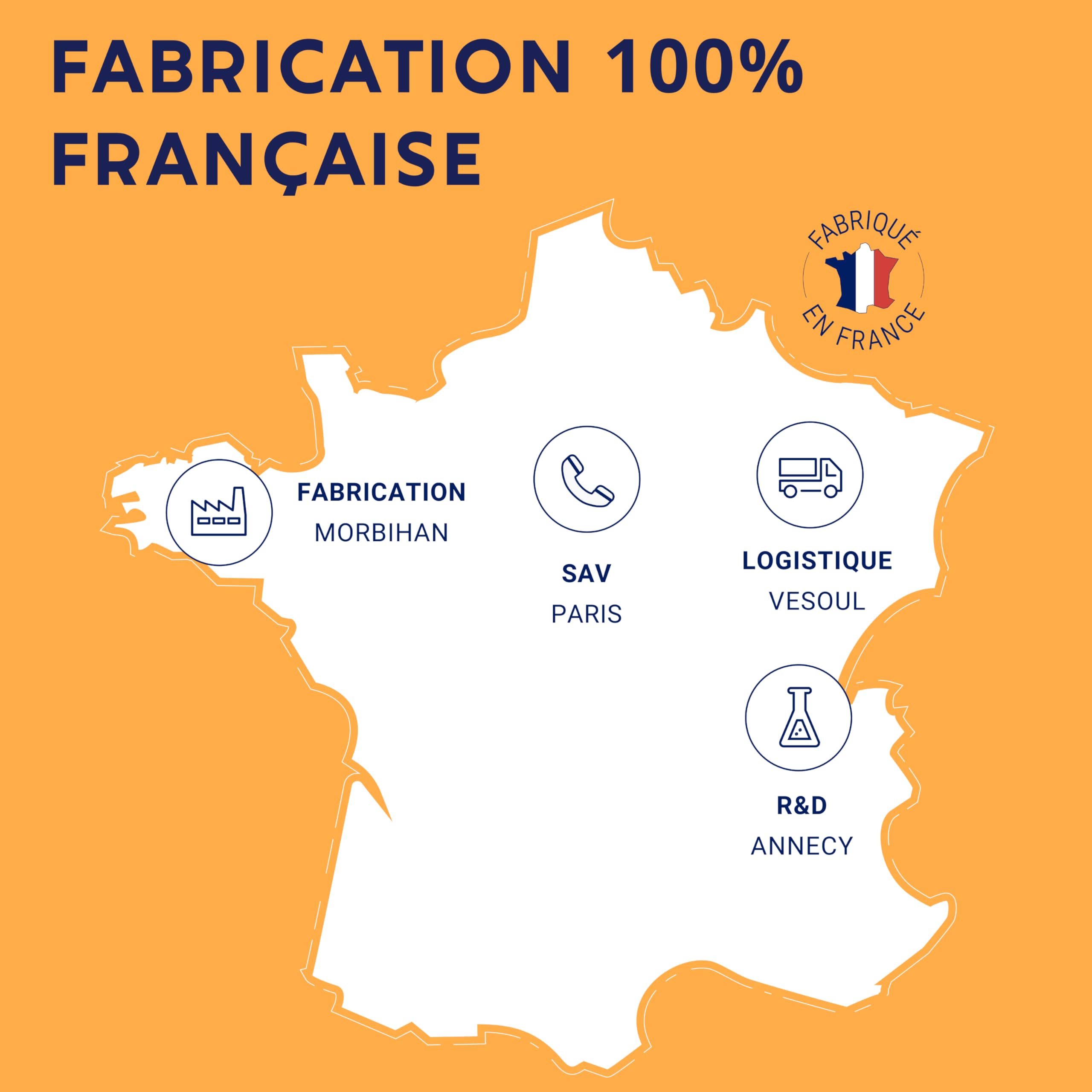 FORMULE BOOST BIO | 4G : Ginseng, Gelée royale, Guarana, Gingembre + Acérola | Complement Alimentaire Anti-Fatigue | Immunité et Energie | Fabriqué en France