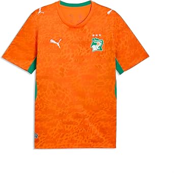 Puma Mens Kenya Ivory Coast Home Jersey Replica
