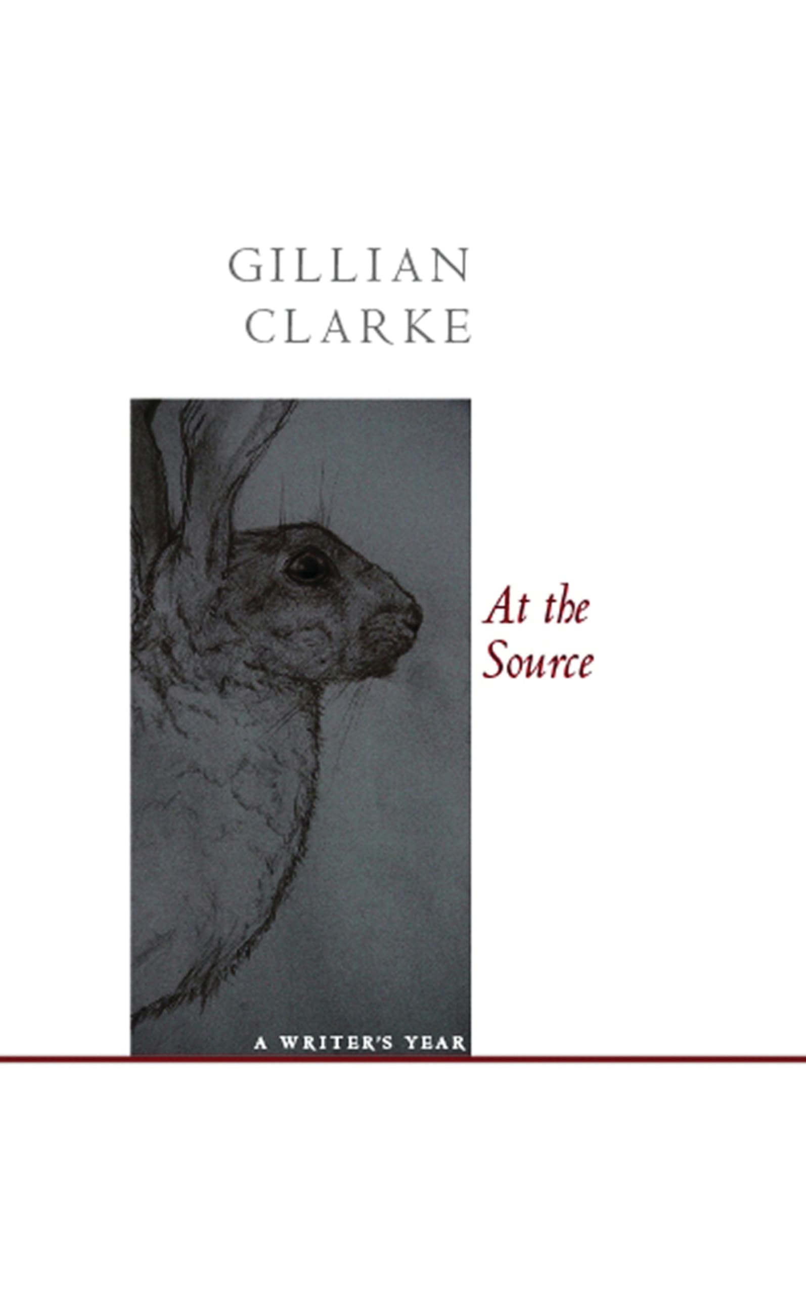 At the Source A Writer's Year by Gillian Clarke (Paperback Book)