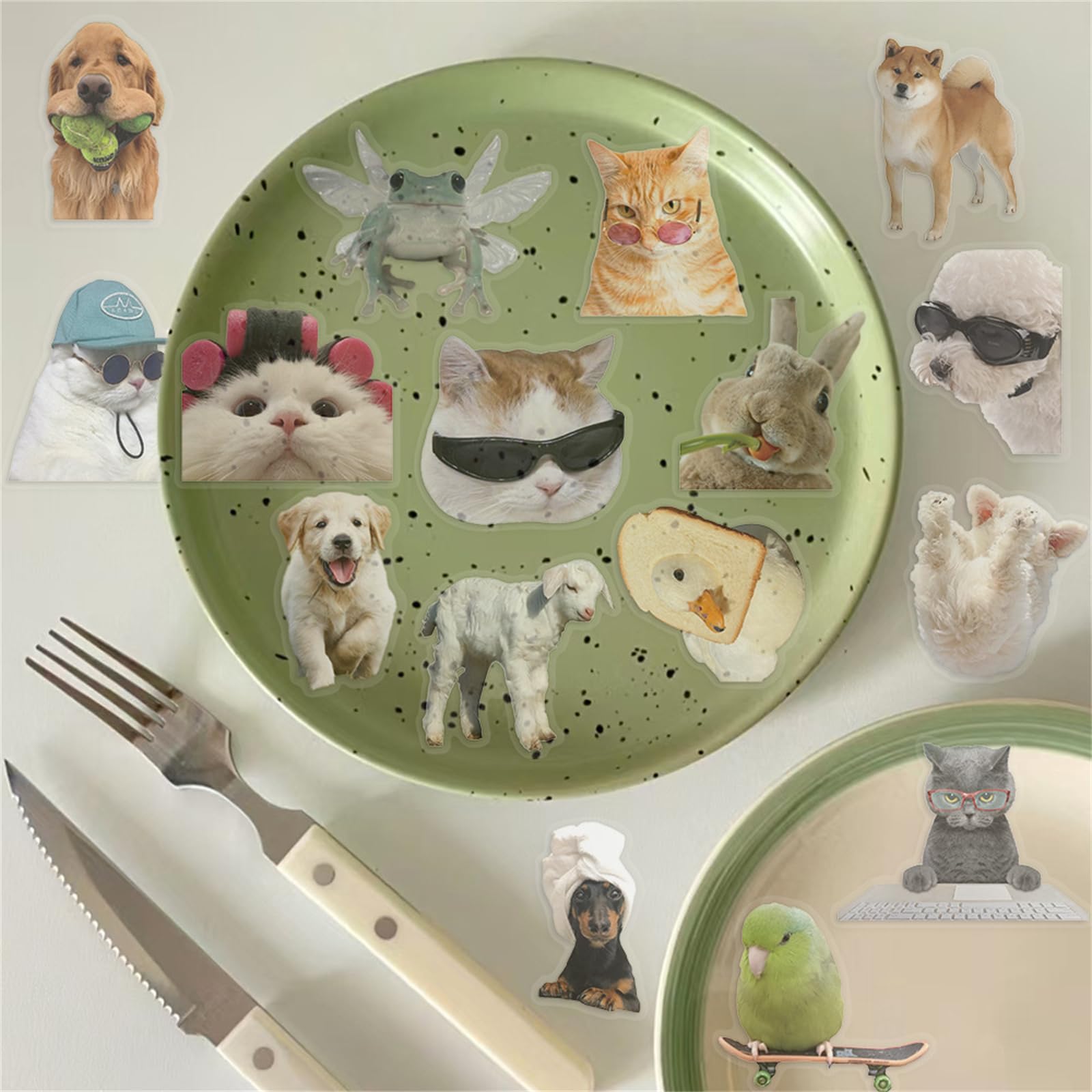 CDMEME-PET Lot de 50 autocollants transparents amusants en PET pour scrapbooking, journaux, cadeaux pour enfants et adultes, fabrication de cartes, lettres