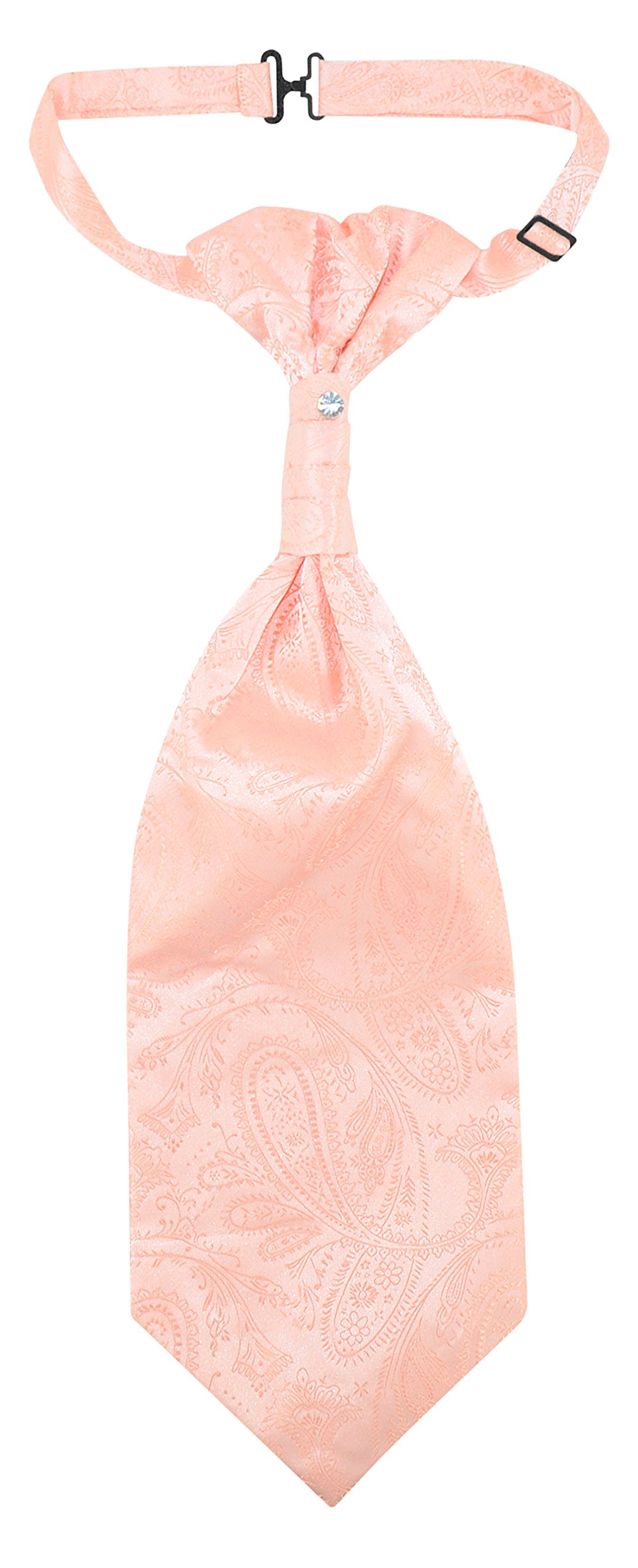 Vesuvio Napoli PreTied ASCOT Solid PAISLEY Color Cravat Men's Neck Tie 21 Colors