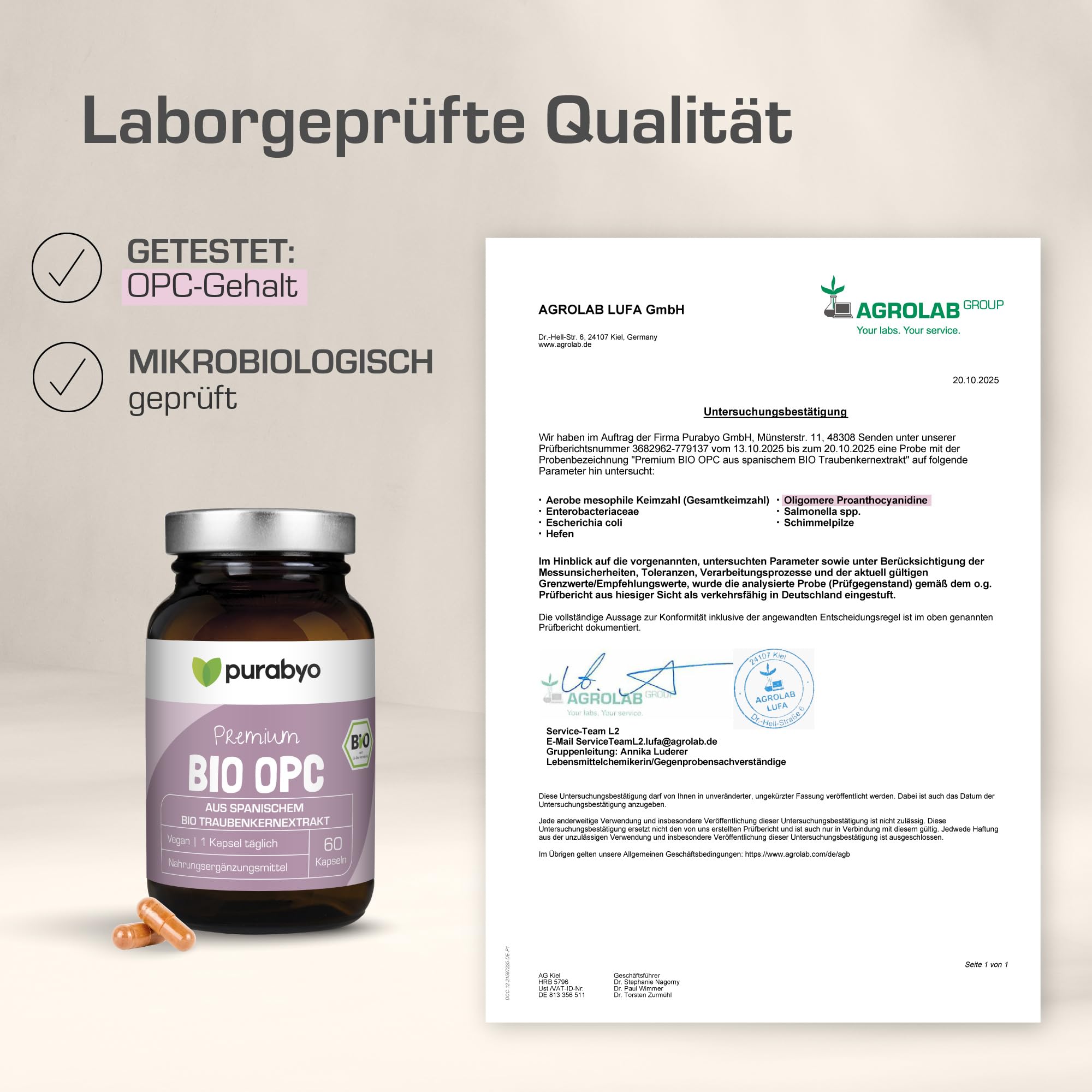 Purabyo OPC BIO Traubenkernextrakt | im Glas | 300mg OPC pro Kapsel (HPLC laborgeprüft) | Bio Anbau in Spanien | wasserextrahiert | OHNE Zusätze | vegan, laborgeprüft, in Deutschland hergestellt