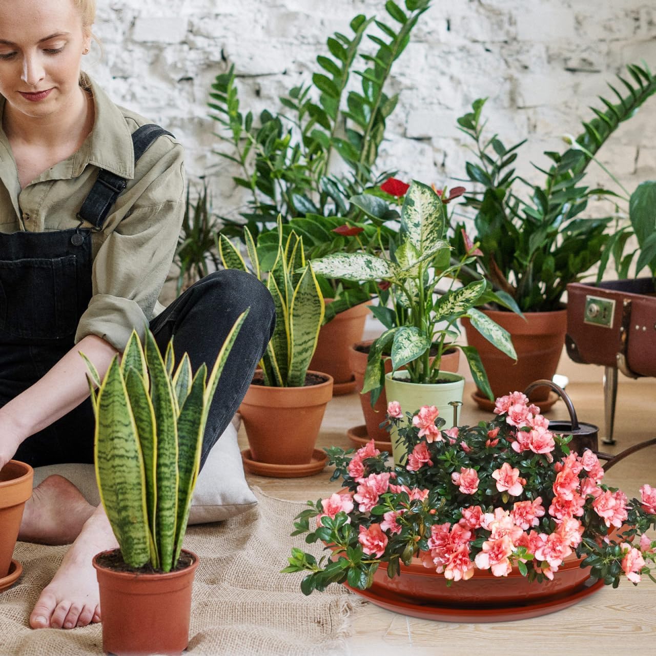 DOITOOL Bonsai Training Pots with Drainage Tray, 17 Inch Oval Bonsai Planter Pot Plastic Plants Growing Tree s Flower for Indoor Outdoor Garden Yard - 17.3 x 13.3 x 4.1 inch