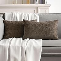 Vista 12 de MIULEE - Pack de 2 fundas de almohada decorativas beige de 16x16 pulgadas, cojines suaves de chenilla para sofá, fundas de cojín de estilo casa