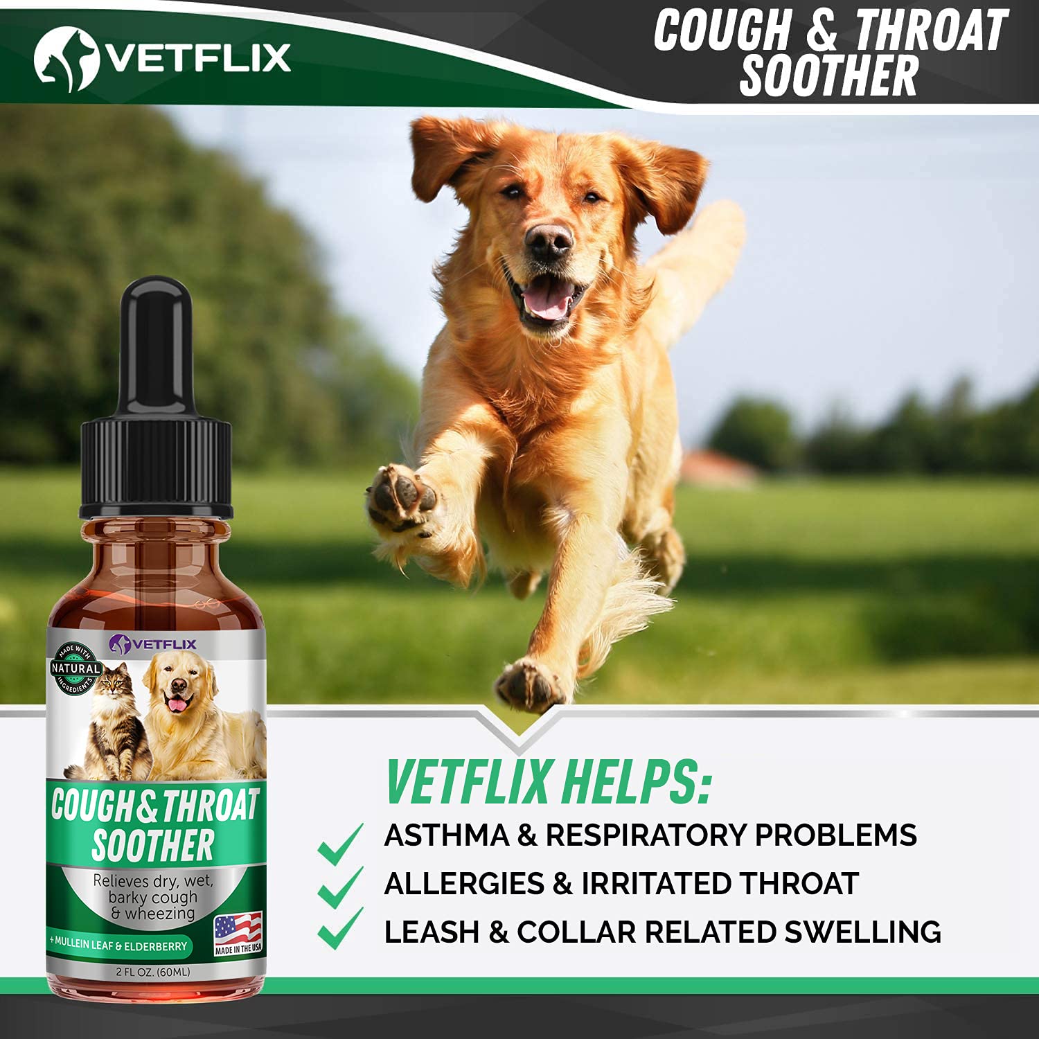 Kennel Cough Treatment for Dogs & Cats Made in USA Dog Allergy