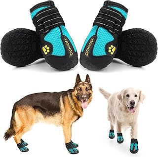 extra large dog shoes