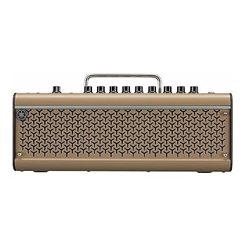 Amazon.com: Yamaha THR30IIA Wireless Acoustic Desktop Amp