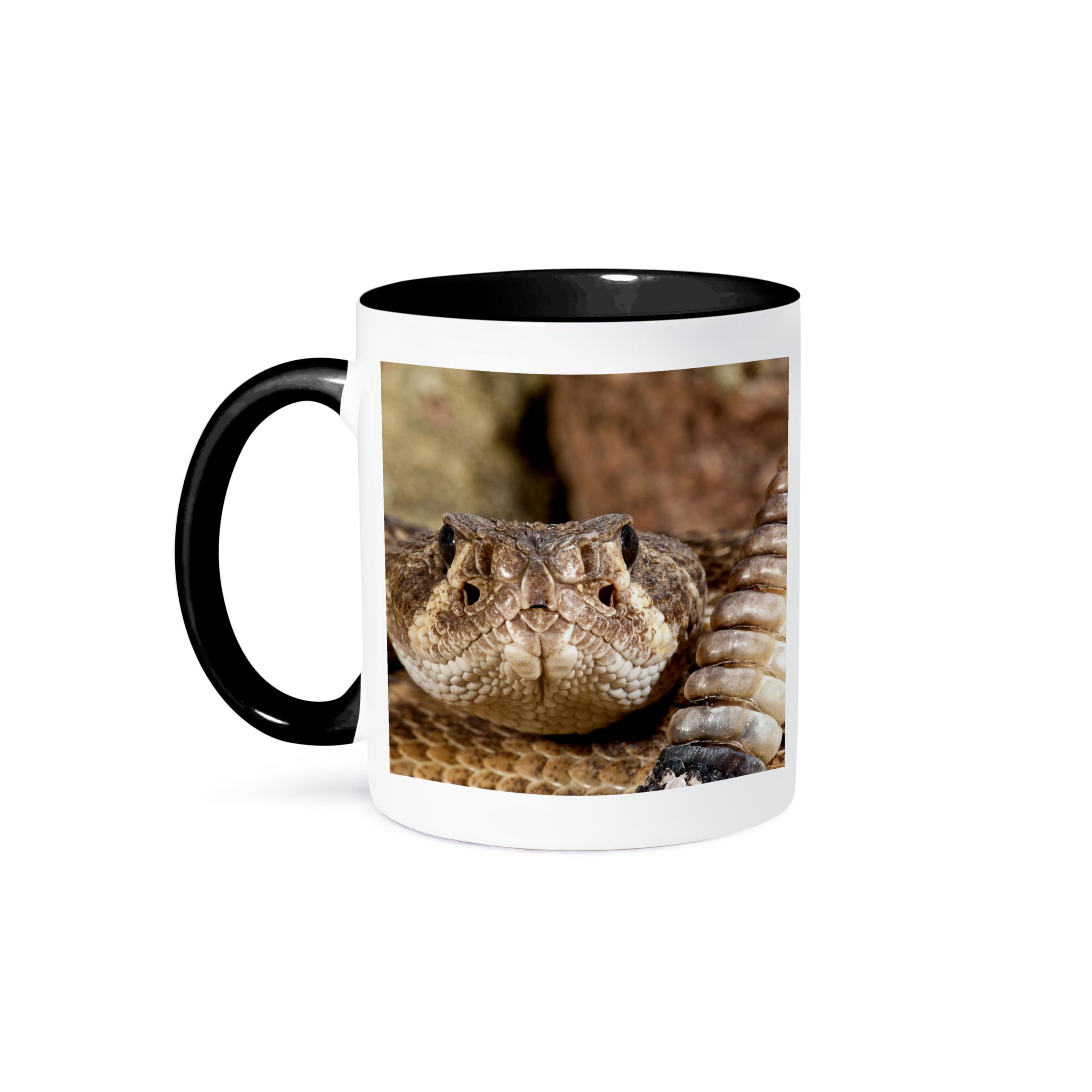 3dRose Western Diamondback Rattlesnake, Southwestern Us-Na02 Dno0883-David Northcott-Two Tone Black Mug, Ceramic, 10.16 x 7.62 x 9.52 cm