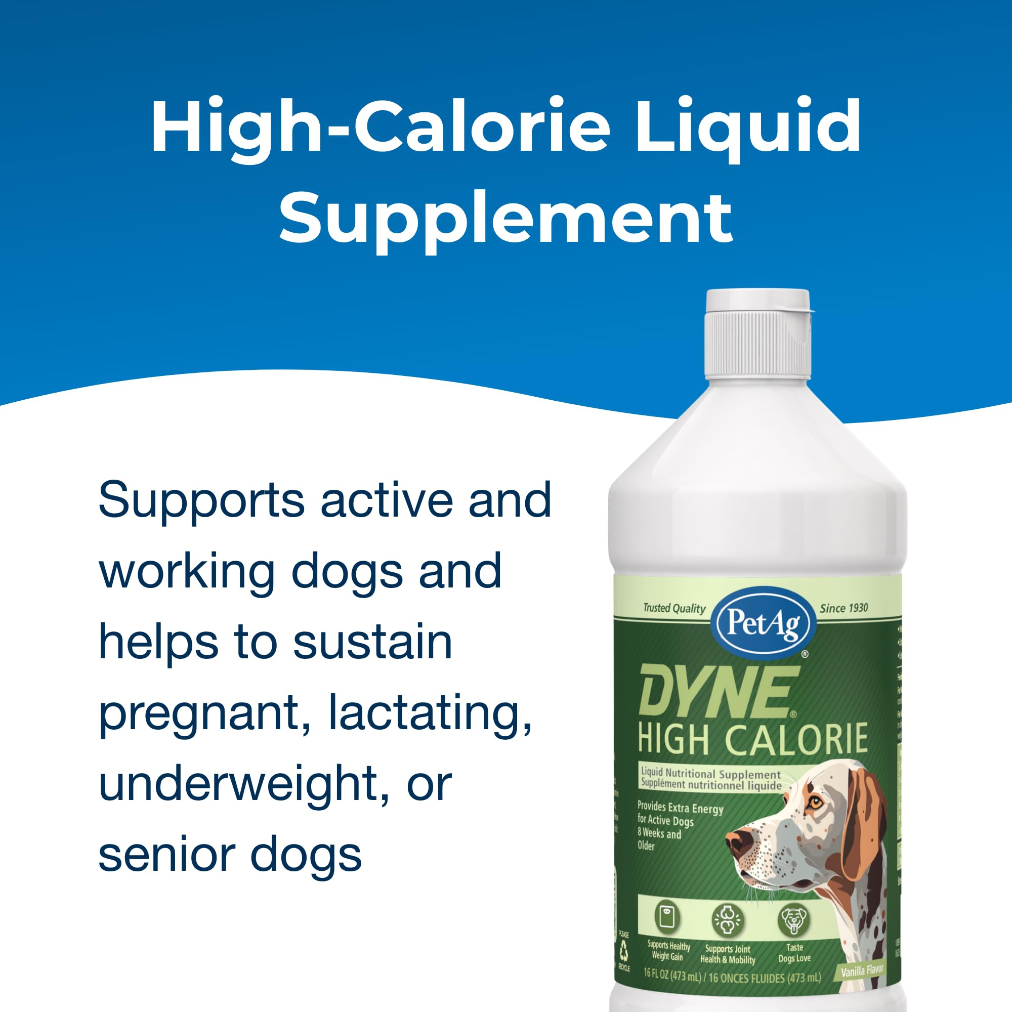 PetAg Dyne High Calorie Liquid Nutritional Supplement for Dogs & Puppies 8 Weeks and Older - 16 oz - Supports Performance and Endurance - Sweet Vanilla Flavor — Amazon image 3