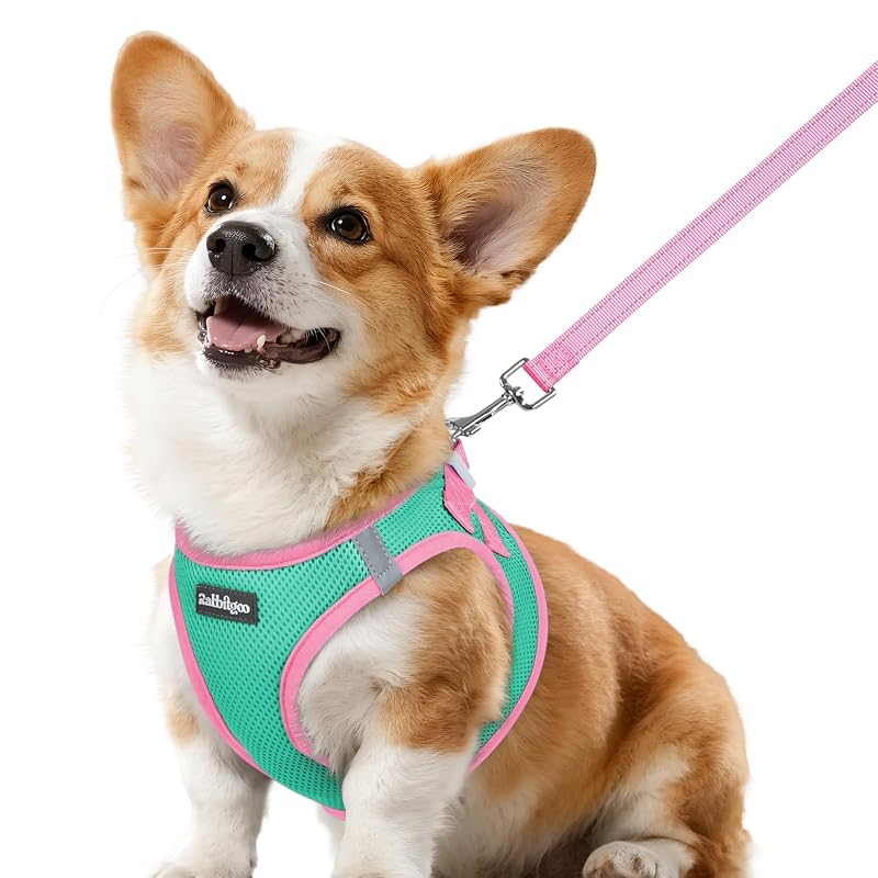 Peitoral vest para cães pequenos com guia, malha respirável rabbitgoo Teal & Pink tamanho L