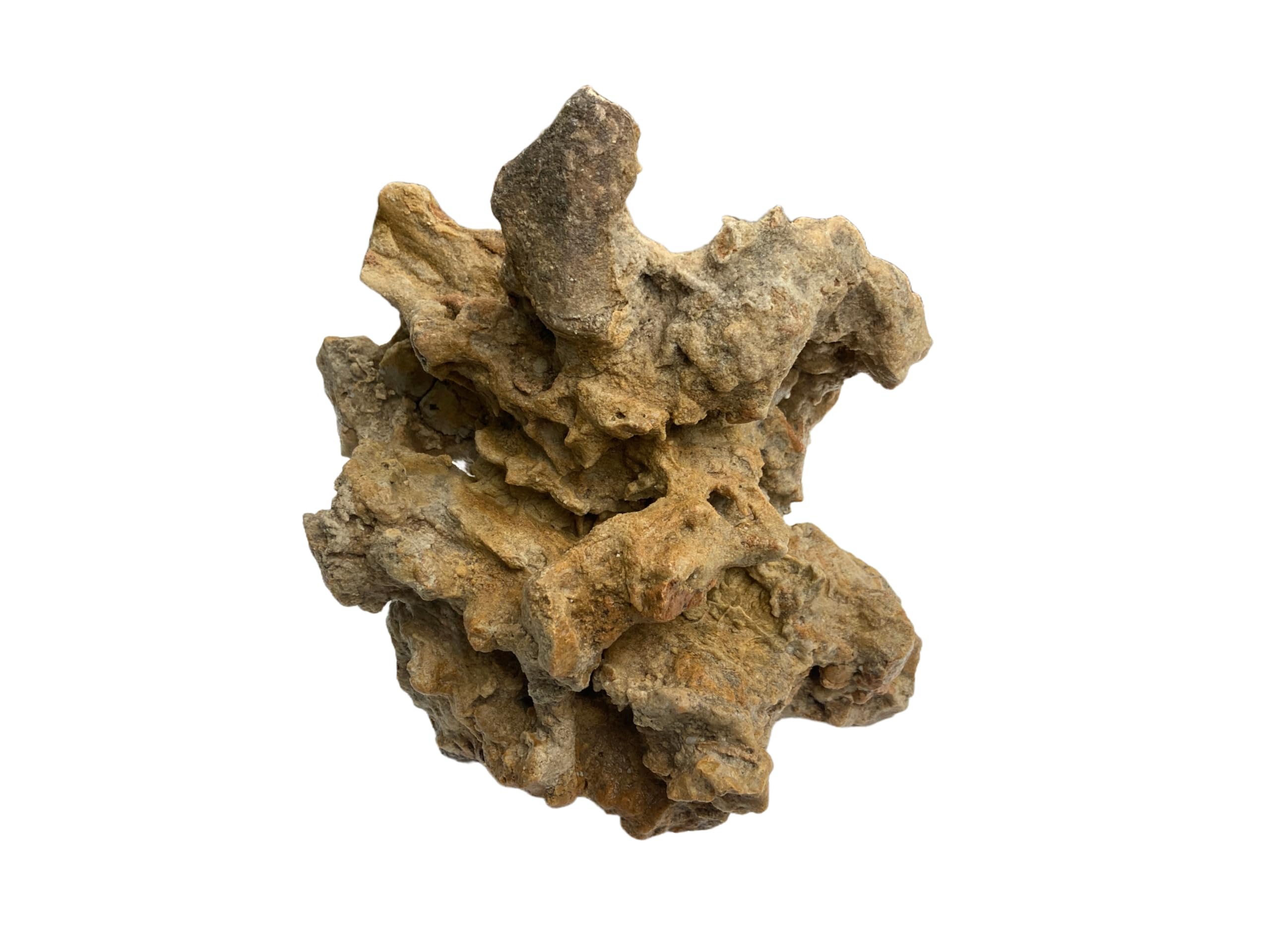 RUKDA® Natural Coral-Shaped Limestone Rock for Aquarium & Terrarium | pH Buffering Calcium Carbonate Stone | Ideal for Cichlids, Clownfish, Gobies & Reef Aquascape (Small)-image-40