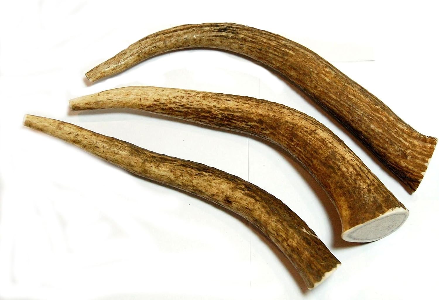 3-Pack Elk Antler Dog Chews, Medium Tines, 6 inches to 10 inches Long, for Small to Medium Sized Dogs and Puppies - Big Dog Antler Chews…
