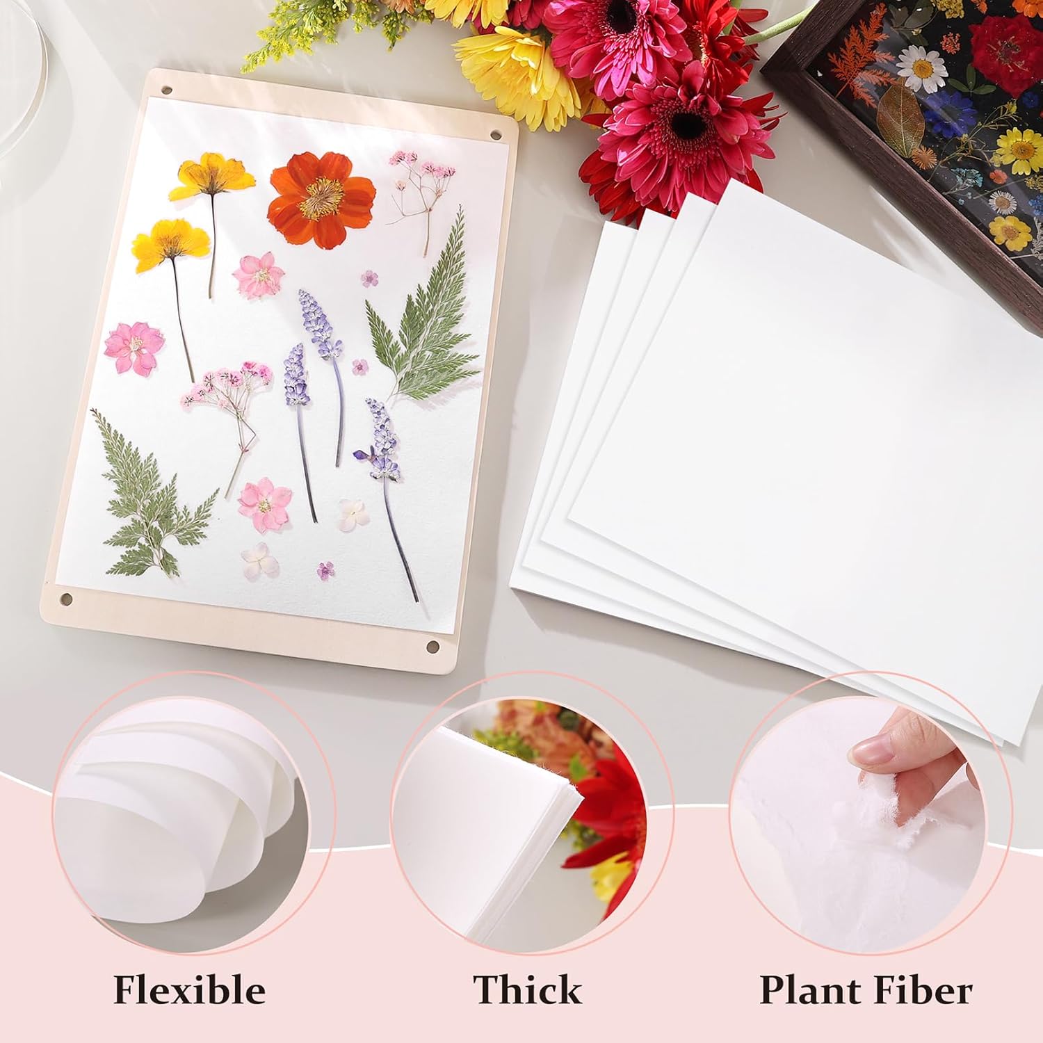 Aboofx 100 Sheets Blotting Paper for Flower Press, Large 8 x 10.3 inch A4 Highly Absorbent and Reusable Blotter Papers for Flower Press Herbarium Craft Blotter Paper Sheets